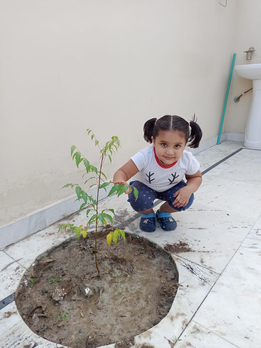 Sela Khurd: Lavika Gupta, daughter of Mohit Gupta, contributed to greening the environment by planting five saplings on her birthday.